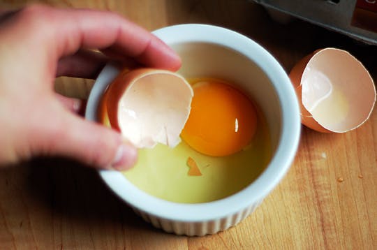 stone amperor egg shell