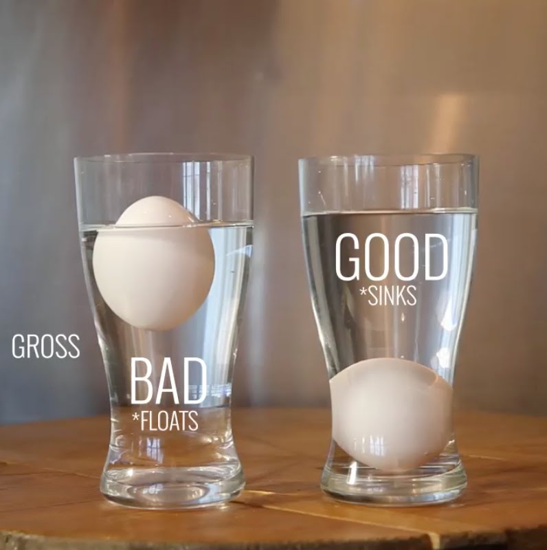 stone amperor egg test